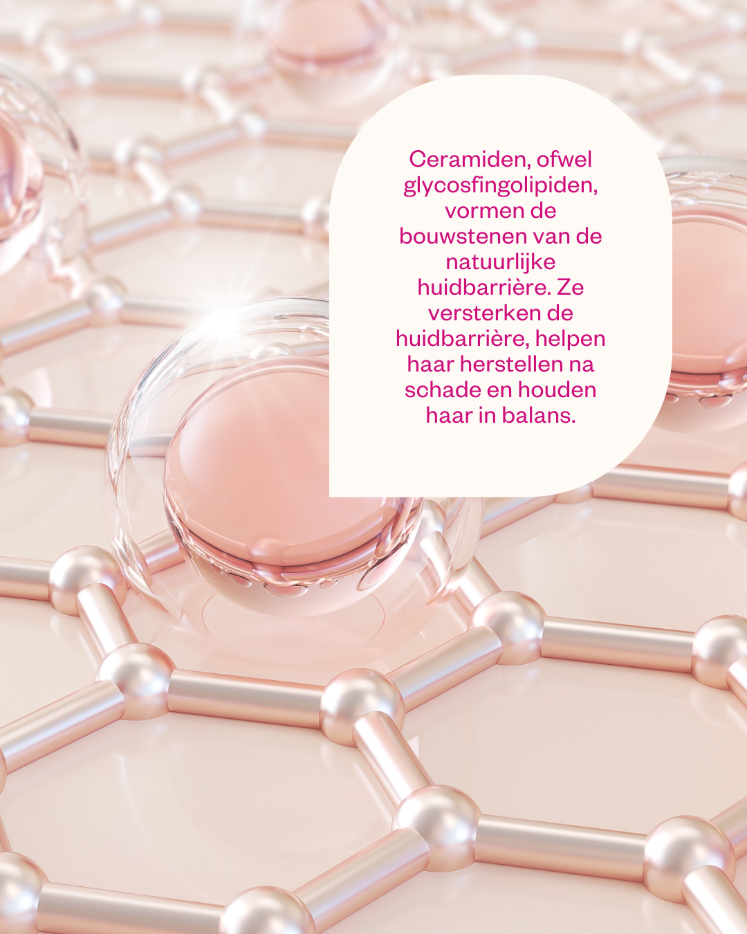 Ceramides & Probiotics Cream - Flow Cosmetics - 50ml